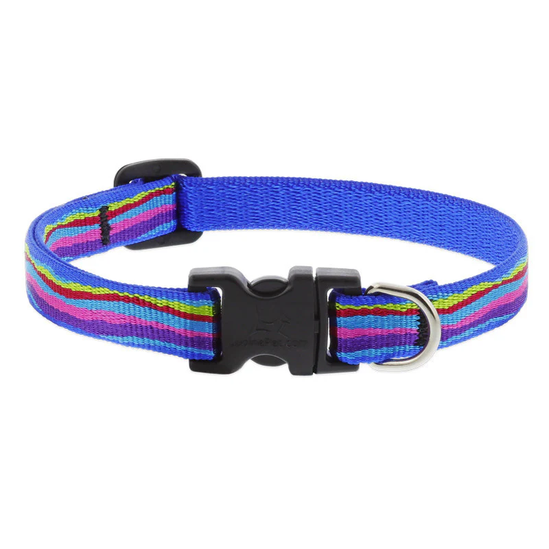 Thumbnail 19